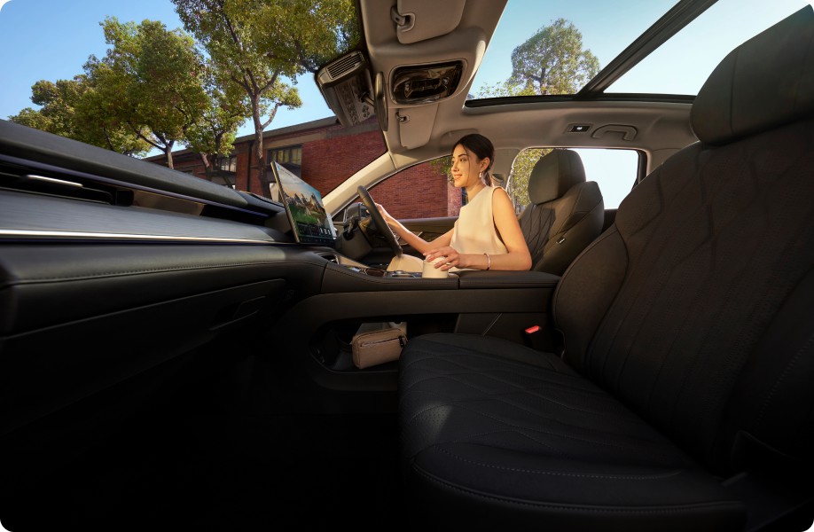 Panoramic Sunroof Elektrik